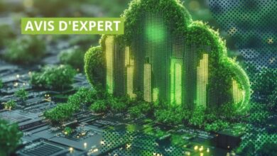 Vignette-avis-expert-numerique-responsable